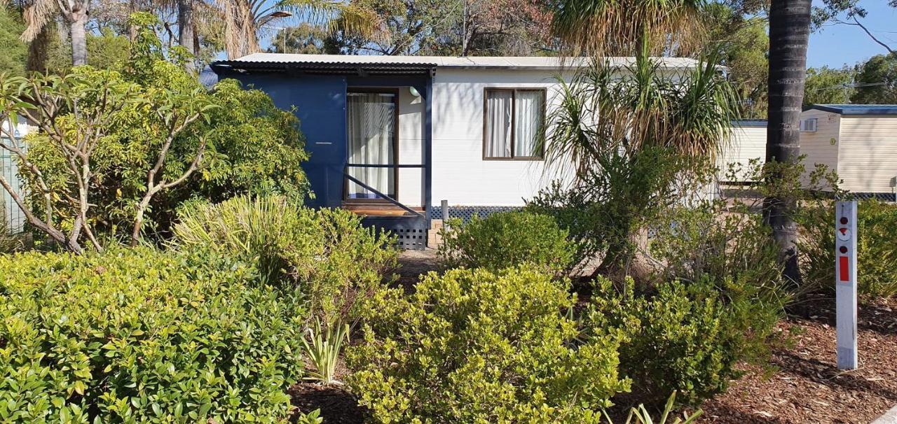 Pinjarra Caravan Park And Cabins Eksteriør billede